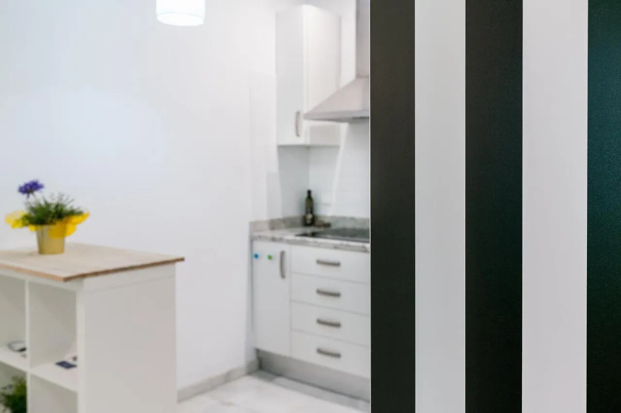Svl - Apartamento Con Galeria En El Centro Historico Seville 0*,