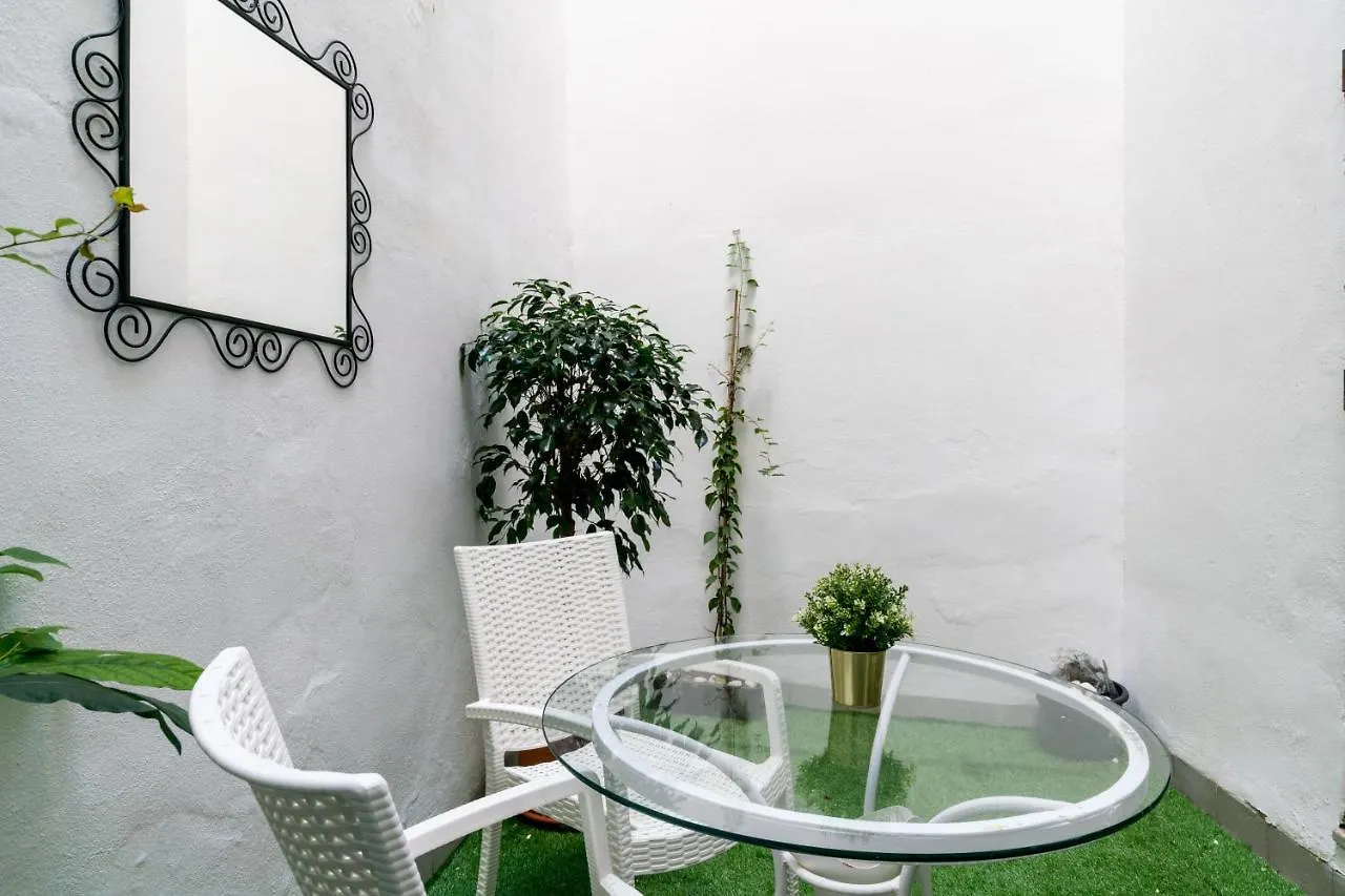 Apartment Svl - Apartamento Con Galeria En El Centro Historico Seville